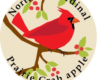 Northern Cardinal bumper sticker