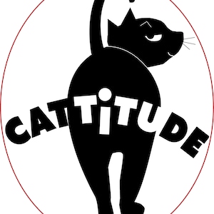 Cattitude sassy bumper sticker black cat