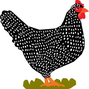 May include: A black and white speckled chicken with red wattle and comb standing on green grass.