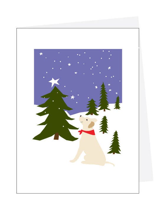 Labrador Dog Snowy Pines Labradors Labrador Retriever Snowy Pines