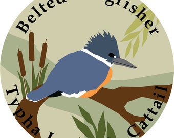 Può includere: Un'illustrazione circolare di un martin pescatore cinto appollaiato su un ramo con tife e piante di Typha latifolia sullo sfondo. Il testo "Belted Kingfisher" è scritto intorno alla parte superiore del cerchio e "Typha Latifolia Cattail" è scritto intorno alla parte inferiore del cerchio.