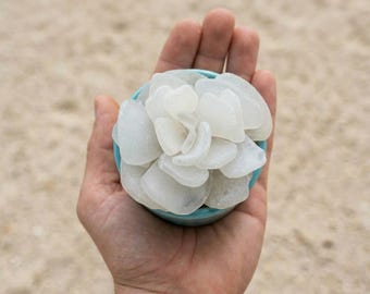 Handmade Sea Glass Succulent – Genuine Beach Glass Plant – Coastal Decor – Caribbean gift – 1.5” or 3” Pot – Green White Brown Mixed