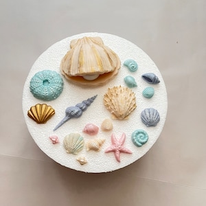 Torta fondente a forma di conchiglia, topper per cupcake