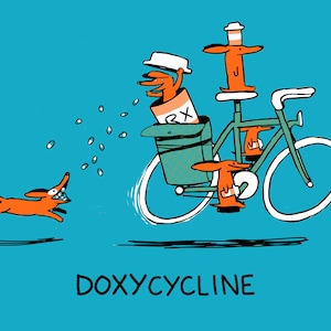 Doxcycline Fun Cute Dachshund Dog Pun Greeting Card