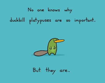 Duckbill Platypuses Are Important Greeting Card