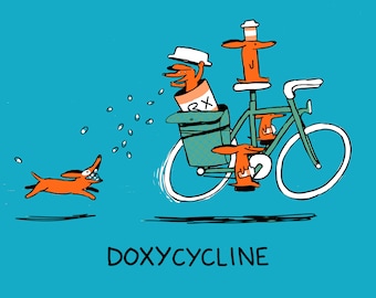 Doxycycline Funny Cute Dachshund Dog 8.5x11 Art Print