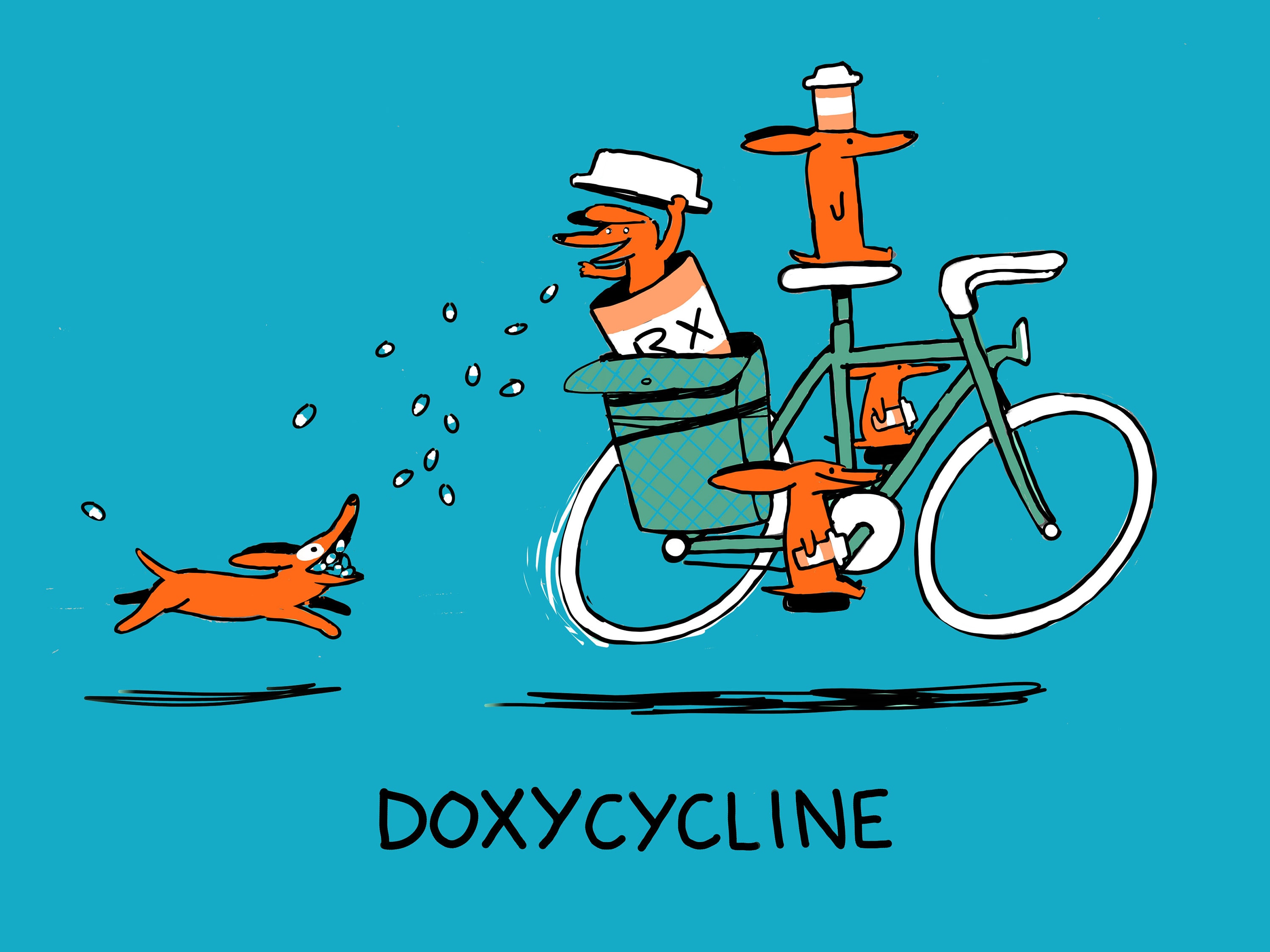 What Is Doxycycline Used For In Dogs