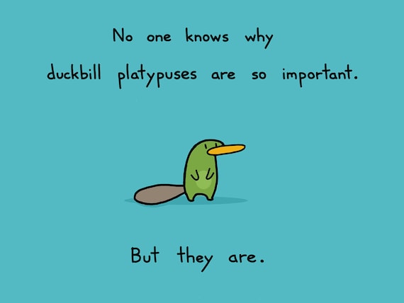 Duckbill Platypus Art Print Etsy
