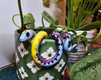 Accessorized Snake Plant Pot Hangers