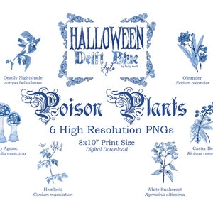 Halloween Digital Images in Delftware Style / Poison Plants Pack / Delft Blue / Chinoiserie / High Resolution PNG / Clip Art Download