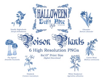Halloween Digital Images in Delftware Style / Poison Plants Pack / Delft Blue / Chinoiserie / High Resolution PNG / Clip Art Download