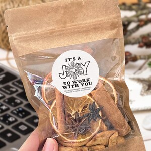 Joy to Work with You! Christmas Simmer Stovetop Potpourri Recipe Mix Kit Thank You or Christmas/ holiday gift for coworker, boss, clients.