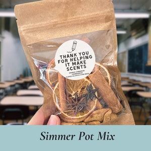 Teacher Simmer Pot Recipe Mix Kit Thank You Gift Favors for Teacher Appreciation End of School Year Summer Stovetop Potpourri Principal