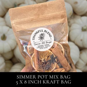 Fall Simmer Pot Recipe Mix Kit Thankful simmering seasonal spices bulk gift Thank you gift stovetop potpourri small Thanksgiving favor