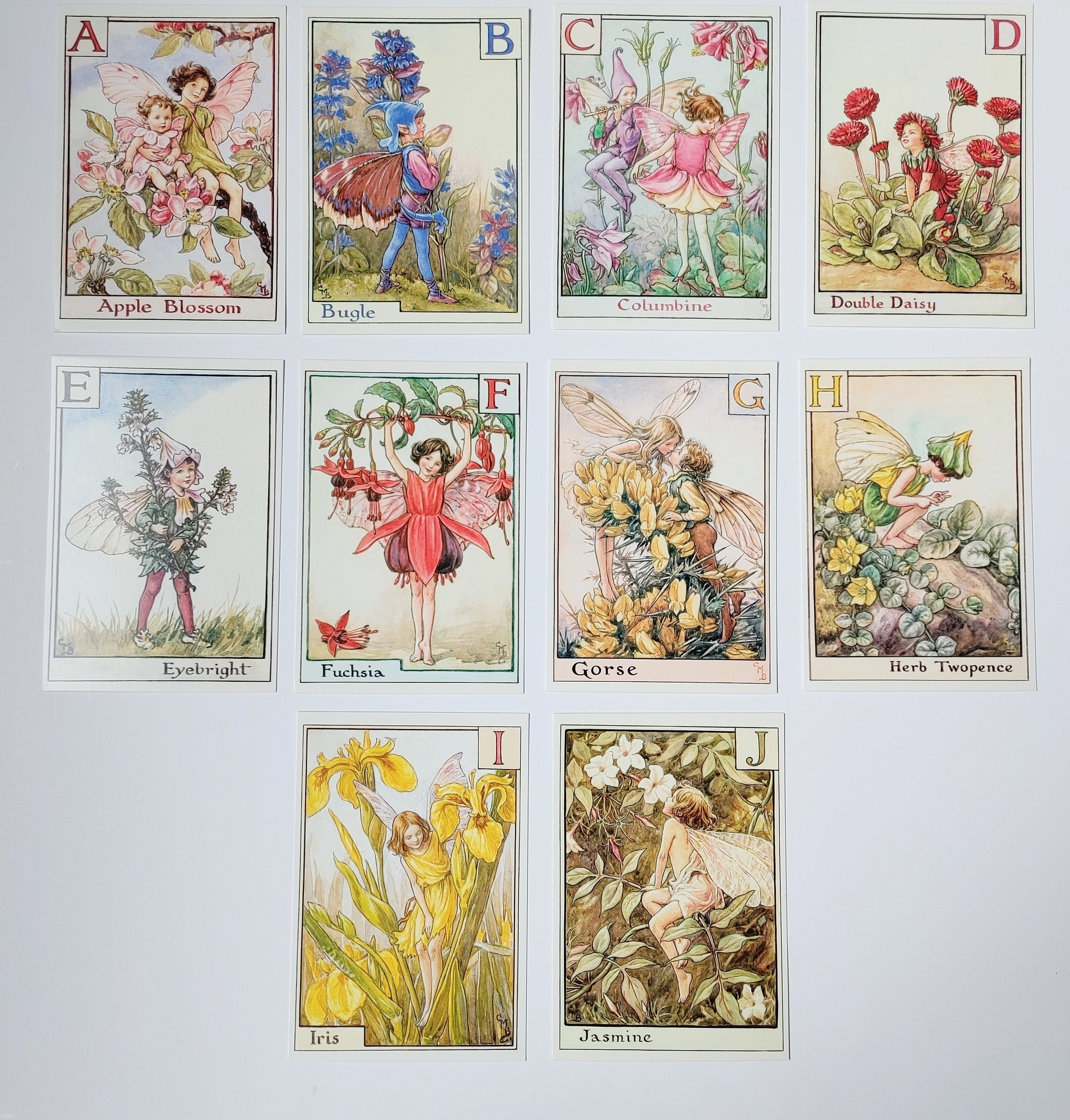 洋書 Flower Fairies Postcard Book Flower Fairies Postcard Book - PB - Tree House Books