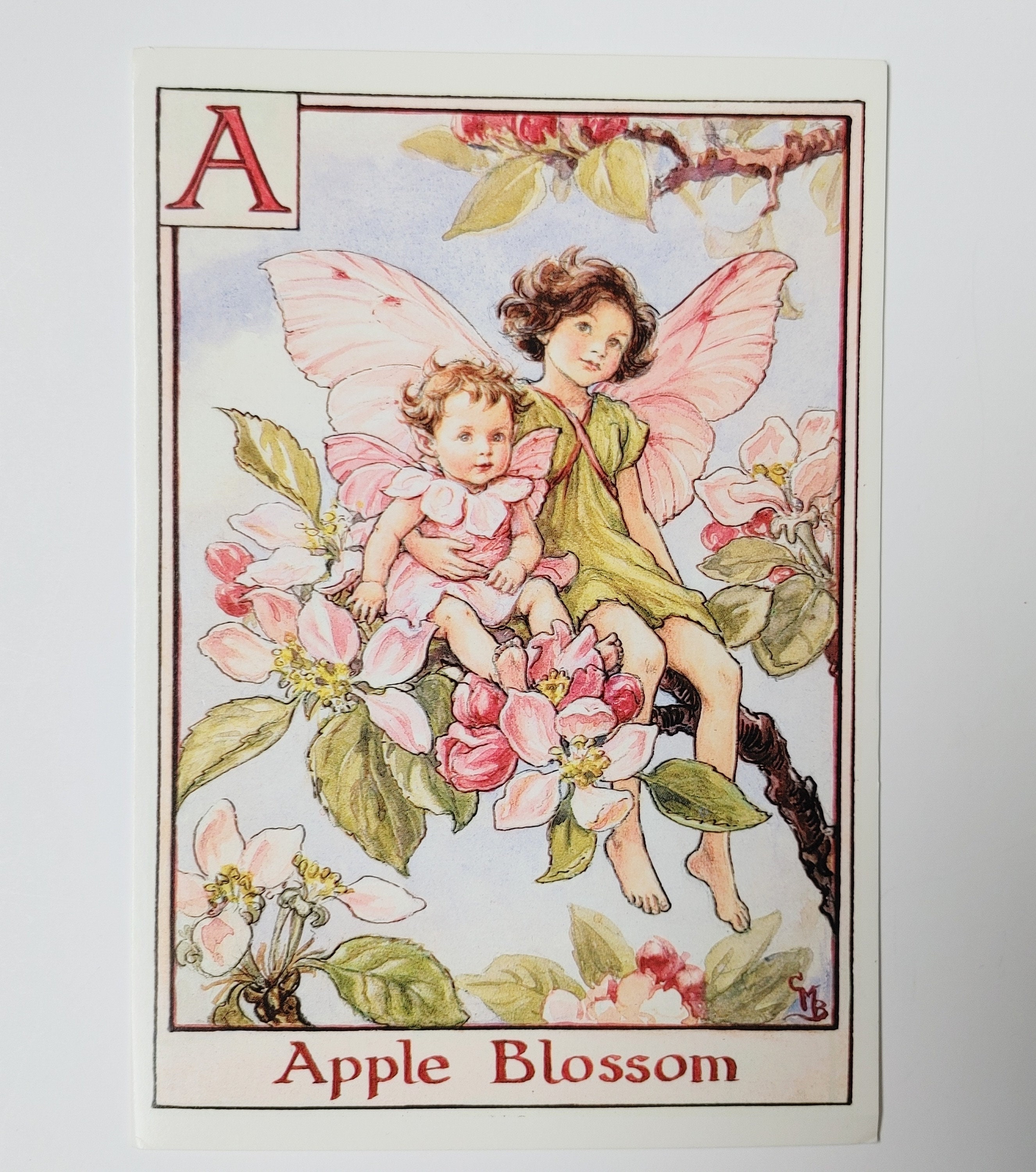 Flower fairies Alphabetの妖精 Various Artists - A Flower Fairy Alphabet - Amazon.com Music