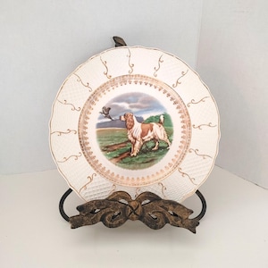 May include: A decorative plate featuring a brown and white dog in a field, with a bird in flight. The plate has a white background with a gold filigree border and is displayed on a black metal stand. The plate is approximately 8 inches in diameter.