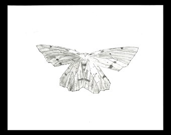 Original Drypoint Print - "Crocus Geolimiter Moth" - FREE Shipping