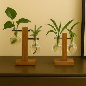 Peut inclure: Deux stations de propagation en bois avec des vases en verre en forme de bulbe contenant des plantes vertes. Chaque station a une base rectangulaire et un support vertical en bois avec des barres métalliques noires pour maintenir les vases. Le fond est beige clair.