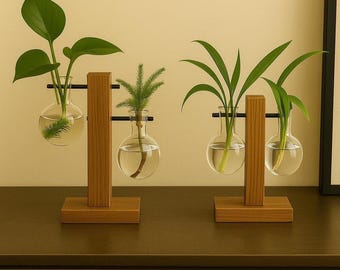 Hydroponic Glass Vases in Wooden Holder – Unique Indoor Plant Vase for Cuttings