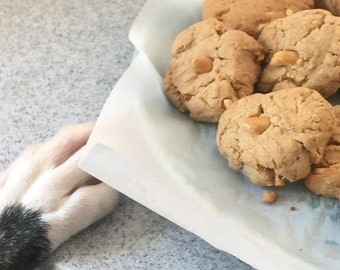 Peanut Butter Nut Cookies, Keto Paleo Snack, 8 Grams of Protein per Cookie, Low Sugar and Salt Cookies, Tasty Edible Dog Treat for Humans