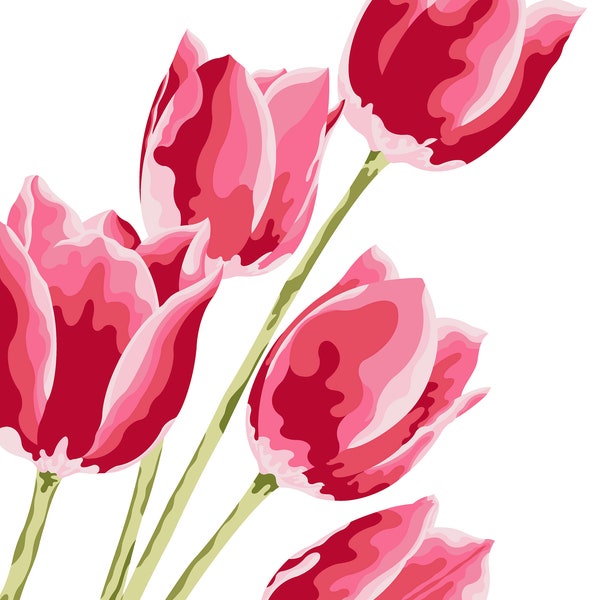Tulpen–Illustration