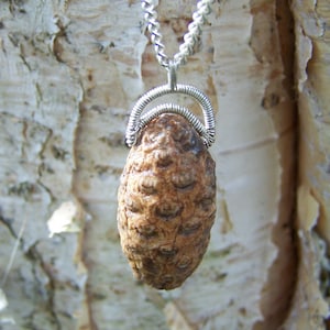 Petrified pine cone necklace deals