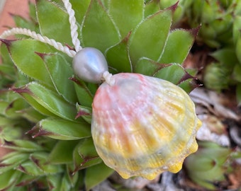 Hawaiian Sunrise shell, handmade wax cordage,silver gray freshwater pearl , necklace