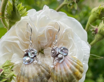 Sunrise shell sterling silver earrings