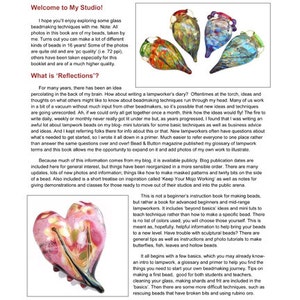 A beginner and intermediate tutorial guide to making lampwork beads, Glass beadmaking, Reflections: the Diary of a Glass Beadmaker pdf file image 3