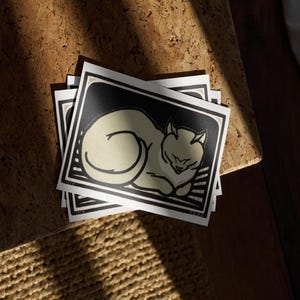 Cat Postcard Set