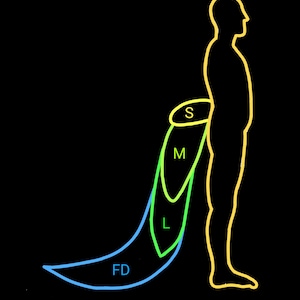May include: A yellow outline of a human figure standing in profile against a black background. Attached to the lower back is a series of overlapping, tail-like shapes in yellow, green, and blue, labeled with the letters S, M, L, and FD.