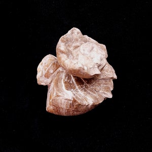 Puede incluir: Una roca de color marrón claro, formada naturalmente, con una textura en capas y estriada. La roca tiene una forma orgánica única y parece ser una sola pieza.