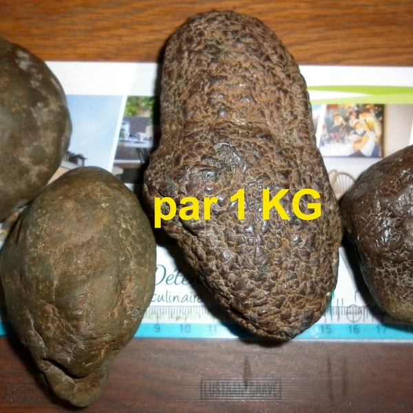 MARCASSITE NATURELLE Pyrite en Nodules livré par lot à votre choix de 1kg ; 2kg ;  Provenance Haut de France.