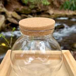 May include: A clear glass terrarium with a cork lid. The round glass container sits on a wooden tray. The background features a blurred view of a flowing stream and natural greenery. The terrarium is empty.