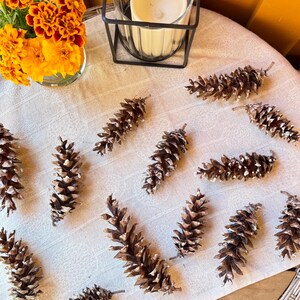May include: A collection of brown pine cones with white accents are arranged on a cream-colored tablecloth. A small vase of orange and yellow flowers and a candle in a black metal holder are also on the table, creating a rustic, natural theme.