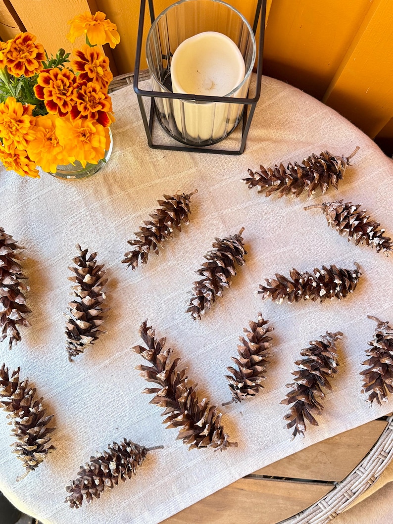 May include: A collection of brown pine cones with white accents are arranged on a cream-colored tablecloth. A small vase of orange and yellow flowers and a candle in a black metal holder are also on the table, creating a rustic, natural theme.