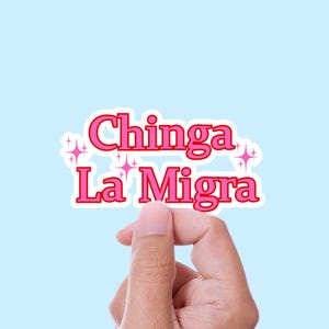 Stickers, No Human is Illegal, Ice, Anti President Sticker, Human Rights, The only Minority, Cute Political Stickers, Police