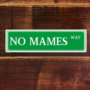 No mames guey stickers - Mexican phrase stickers Planner stickers Water bottle stickers - Decals Laptop stickers