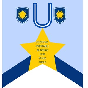 Custom University/College/Post-Secondary Bunting