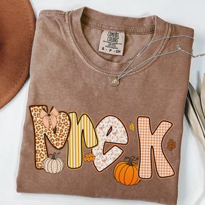 May include: A brown Comfort Colors t-shirt with the word "PUMPKIN" in a fall-themed design. The letters feature patterns like leopard print, stripes, and gingham, with pumpkin and leaf accents. A silver necklace with a pendant is also visible.