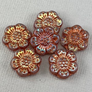 Transparent Clear Czech glass wild rose flower beads, copper wash, aurora borealis, irridescent mix - 14mm - 6 or 12 pcs - FB408-b044