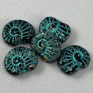 Op de afbeelding: Zes zwarte en turquoise glazen kralen in de vorm van ammonieten. De kralen hebben een getextureerd oppervlak en een verhoogd spiraalontwerp.