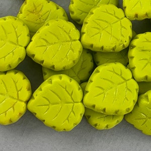 Matte or Gloss Wasabi Green Czech glass leaf beads, linden leaf, poplar, olivine olive green, beads for jewelry - 15mm - 6 pcs - FB166-b002