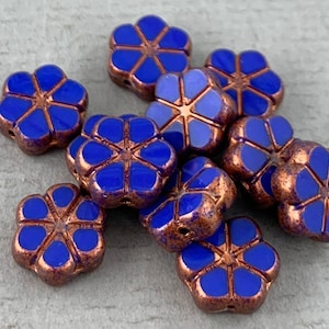 Kobaltblaue Vergissmeinnicht tschechische Hibiskus Glasblüten Perlen, metallisches Bronze-Finish, Gänseblümchen, Tafelschliff - 10 mm - 12 Stück - FB1112-B208
