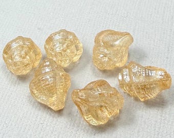 Champaign Conch, Seashell Czech glass beads, luster - 15mm x 12mm - 6 or 12 pcs - AB003-b168