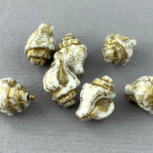 May include: Seven white seashells with gold accents. The seashells are all different shapes and sizes. They are perfect for crafting or decorating.