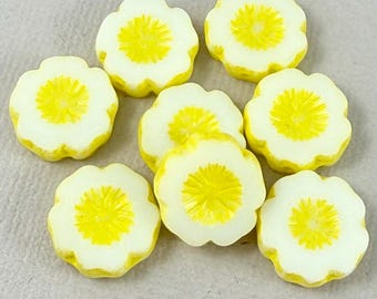 White hibiscus flower beads, Czech glass, yellow wash, cherry blossom - 14mm - 6 or 12 pcs - FB039-b160