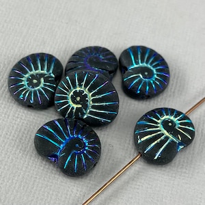 May include: Six black glass beads with iridescent blue and green accents. Each bead is shaped like a nautilus shell with a raised spiral design.