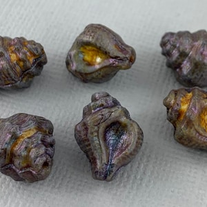 May include: Six iridescent seashells with a brown and gold color scheme. The shells are smooth and have a glossy finish.